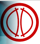 NSTX Logo