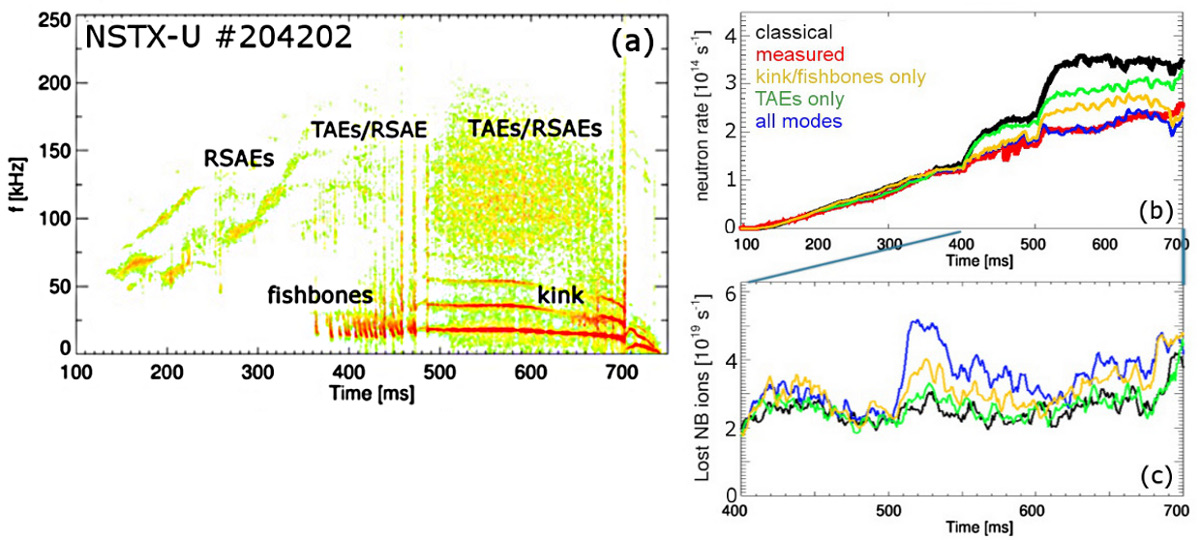 (a) NSTX-U scenario with unstable TAEs, fishbone and kink modes. (b) Neutron rate from measurements (red) and TRANSP + kick model simulations that include different types of instabilities. (c) Simulated fast ion loss rate for the cases shown in (b).