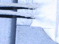 100-0008_IMG